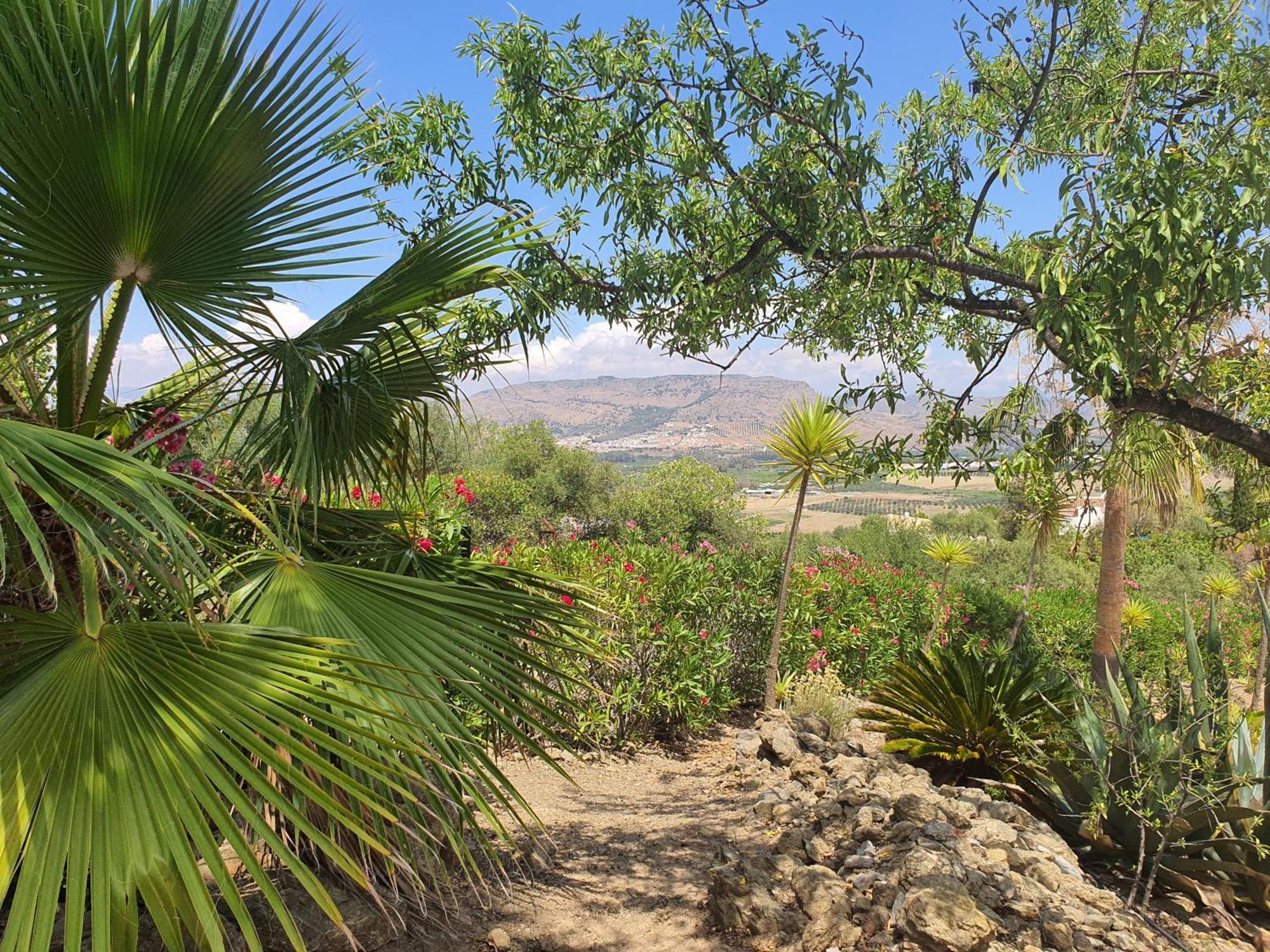 Finca Flamenco Holiday Suites Adults Only 피자라 외부 사진