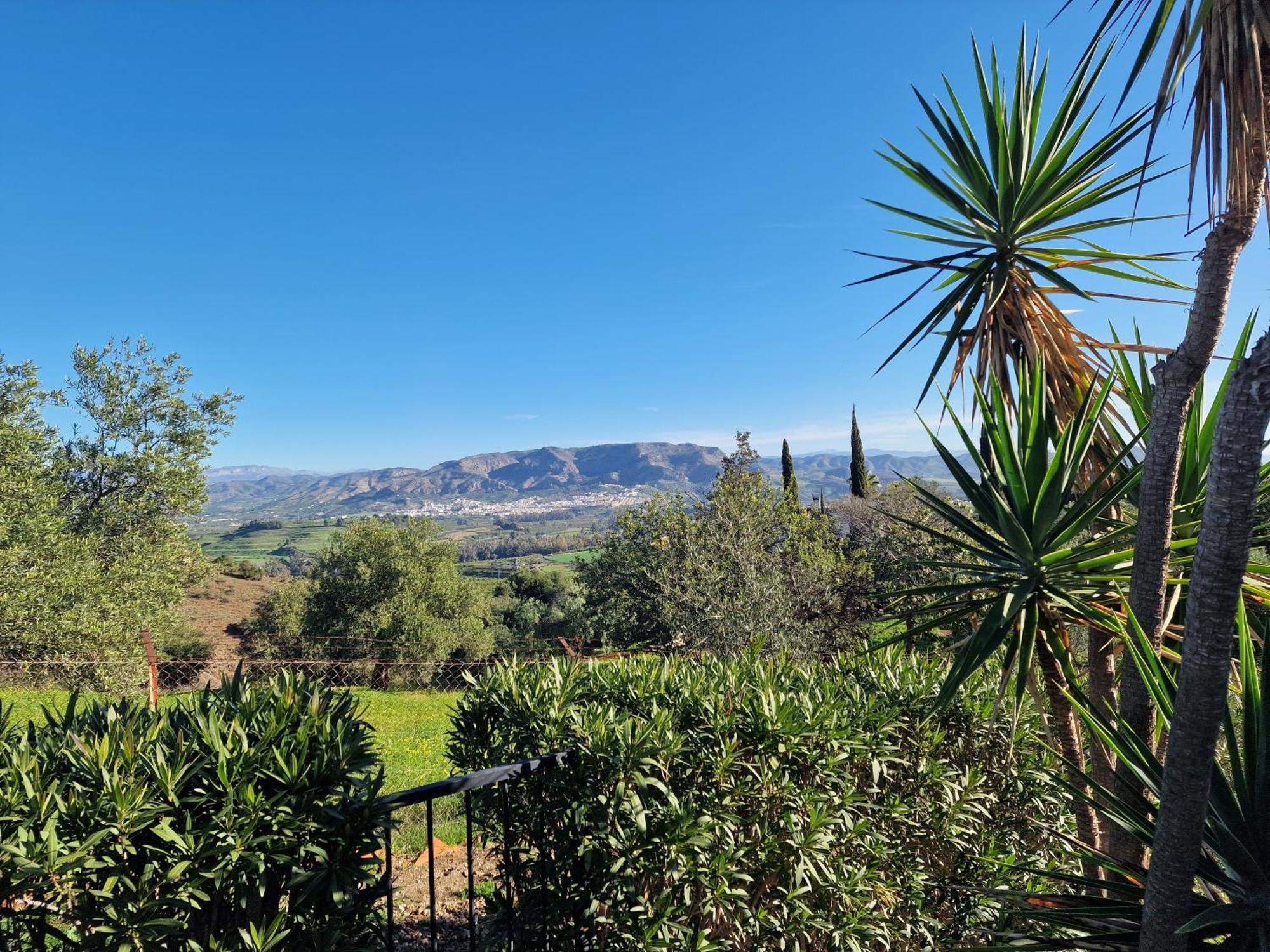 Finca Flamenco Holiday Suites Adults Only 피자라 외부 사진